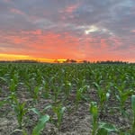 Ashley Byrum - @farmingfamilyfinds - Instagram