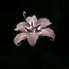 𝓐𝓼𝓱𝓵𝓮𝔂𝓒𝓪𝓷𝓭𝔂 - @ashley11479 - TikTok