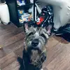 ashleycassidy2 - @ashleycassidy2 - TikTok