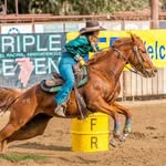 Ashley Cates - @unityfarmsinc - Instagram
