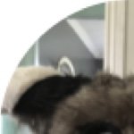 Ashley Clingerman - @creepydragons101 - Instagram