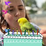 Ashley Cloud - @ashcakes84 - Instagram