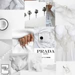 congo Ashley - @congo.ashley - Instagram