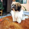Thania_09 - @ashleycoolers - TikTok