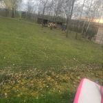 @ashley_coolman11 - Instagram
