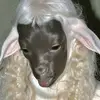 ashleycoolmen - @ashleycoolmen - TikTok