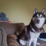 Coombes Ashley - @ashley.coomes.77 - Instagram