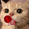 ashleycoramfuente - @ashleycoramfuente - TikTok