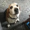 AshleyDalrymple629 - @ashleydalrymple629 - TikTok