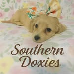 Ashley Dedeaux Holland - @ashes_holland - Instagram