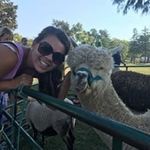 Ashley DeVries - @devries.ashley - Instagram