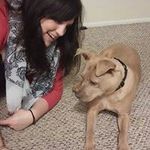Ashley Dodge - @shinydodge - Instagram