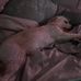 Ashley Dreher - Facebook