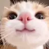 ashley Dulin - @ashley.dulin - TikTok