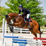 Ashley✨Emig - @turningpointeq - Instagram