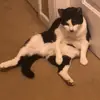Ashley Engle69 - @ashley.engle1 - TikTok