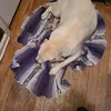 Ashley Esther - @ashleyesther56788 - TikTok