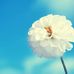 Ashley Fahey - Facebook