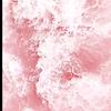 ashley fan - @ashley._.fan._ - TikTok