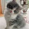 Ashley Fix - @ashley.fix4 - TikTok