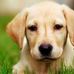 Ashley Flach - Facebook