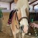 Ashley Elizabeth Fortier - Facebook