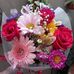 Ashley Frank - Facebook