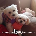 Lisa Ashley Gabbard - @lgabbard67 - Instagram