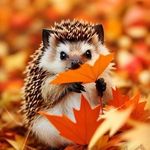Ashley Geist - @emeraldmagick82 - Instagram