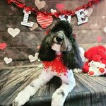 Ashley Geist Kerr - @bubblesnbows_ms - Instagram