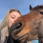 Ashley Kai Gentry - @kai_equestrian - Instagram