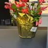 ashleygerken4 - @ashley.gerken - TikTok