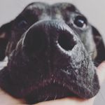 Ashley Gillingham - @ajgillin - Instagram