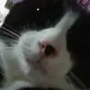 Ashley Gillingham - @ashley.gillingham0 - TikTok