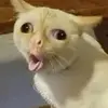 Ashley - @ashley.e.haar - TikTok