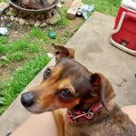 Ashley Hager - @ashleyhager66 - Instagram