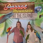 Ashley Hamann - @hamann3583 - Instagram