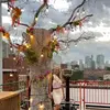 ashleyhamann61 - @ashleyhamann61 - TikTok