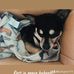 Ashley Glen Hamman - Facebook