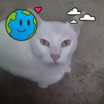 Ashley Haney - Facebook