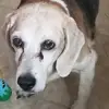 user2492186378093 - @ashley.hatchell - TikTok
