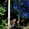 Hayne Ashley - @hayne.ashley - TikTok
