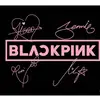 Ashley Healy - @ashleyblackpinkblinkfan6 - TikTok
