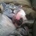Ashley Hecker - Facebook