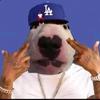 I follow back no cap - @ashleyhecker906 - TikTok