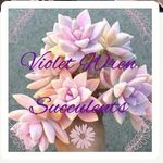 Ashley Hepburn - @violetwrenshops - Instagram
