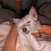 Ashlee Hepler  - Facebook