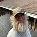 Ashley Heyer - Facebook