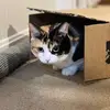 Ashley Holben - @yourmomdotcom23 - TikTok