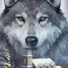 taraashleyholter - @tara.ashley.holte - TikTok